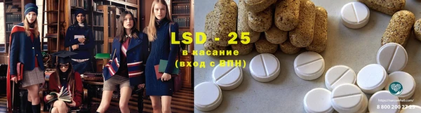 прущие грибы Нягань