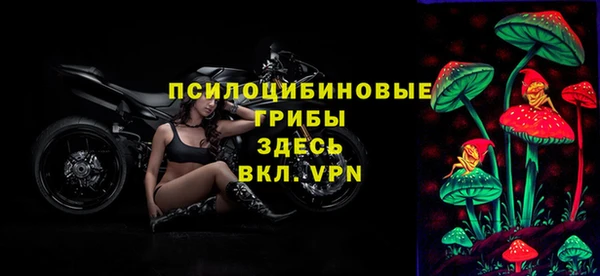 прущие грибы Нягань