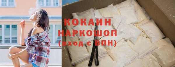 прущие грибы Нягань