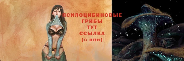 ECSTASY Няндома