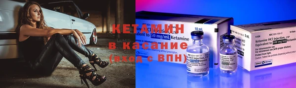 прущие грибы Нягань
