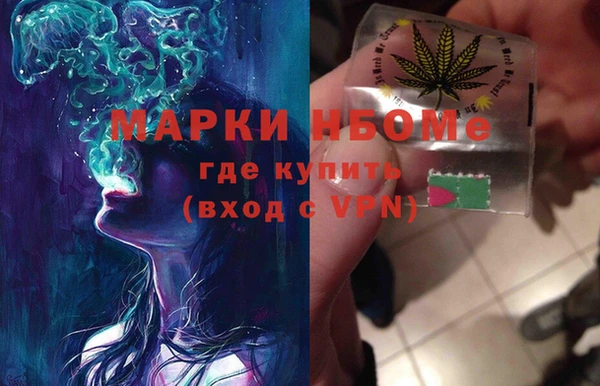 прущие грибы Нягань