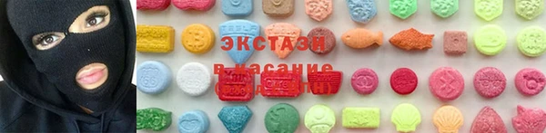 ECSTASY Няндома