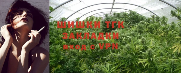 индика Новодвинск