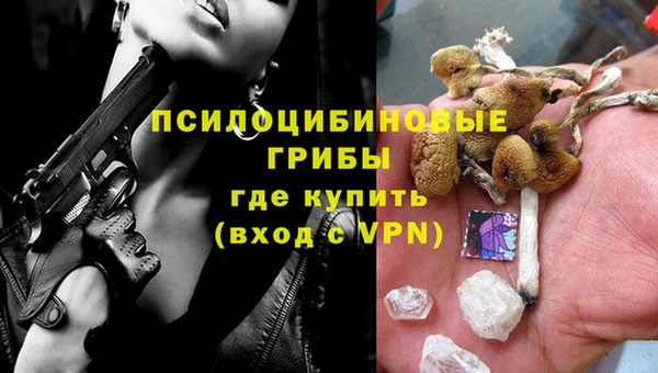 ECSTASY Няндома