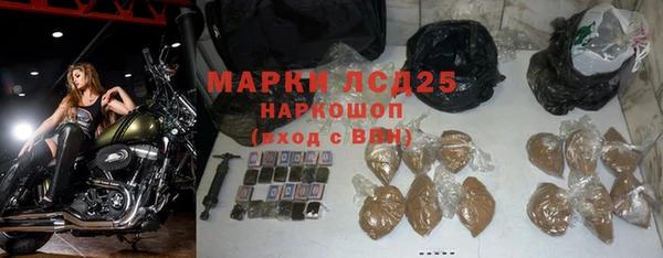 прущие грибы Нягань