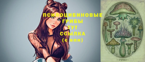 ECSTASY Няндома