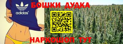 дмт Гусев