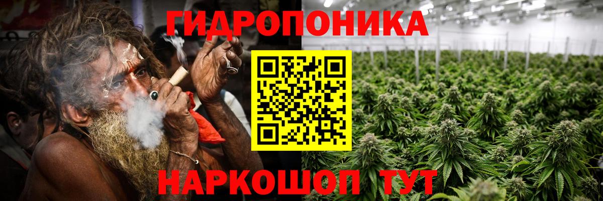 Бошки марихуана SATIVA & INDICA  Вход с VPN  Коряжма  Марихуана индика  МАРИХУАНА конопля  МАРИХУАНА конопля 